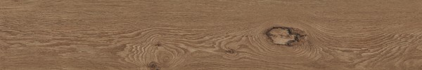 FABLE Cognac 20x120